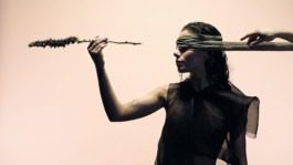 silly berlin — creative direction, set design, photography, directing