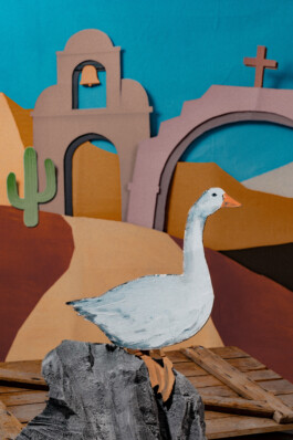 silly berlin — creative direction, set design, photography, directing
